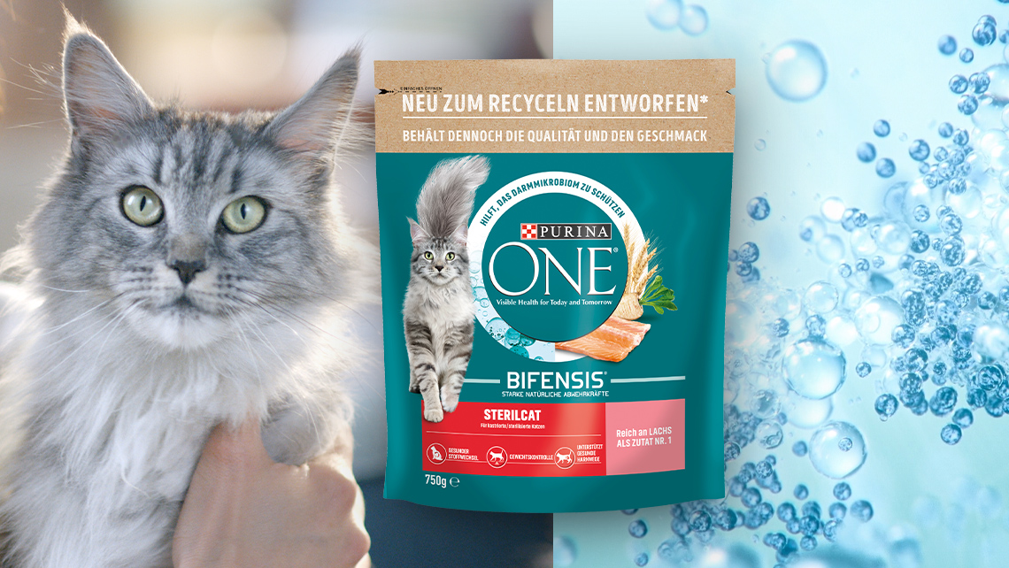 PURINA ONE Cat Bifensis Detailseite