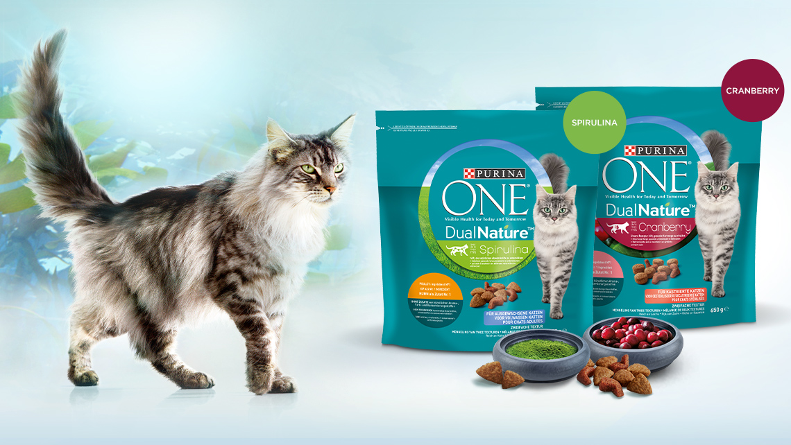 PURINA ONE Cat DualNature Detailseite