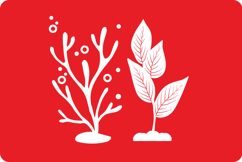 sustinability logo with white plants on a red background
