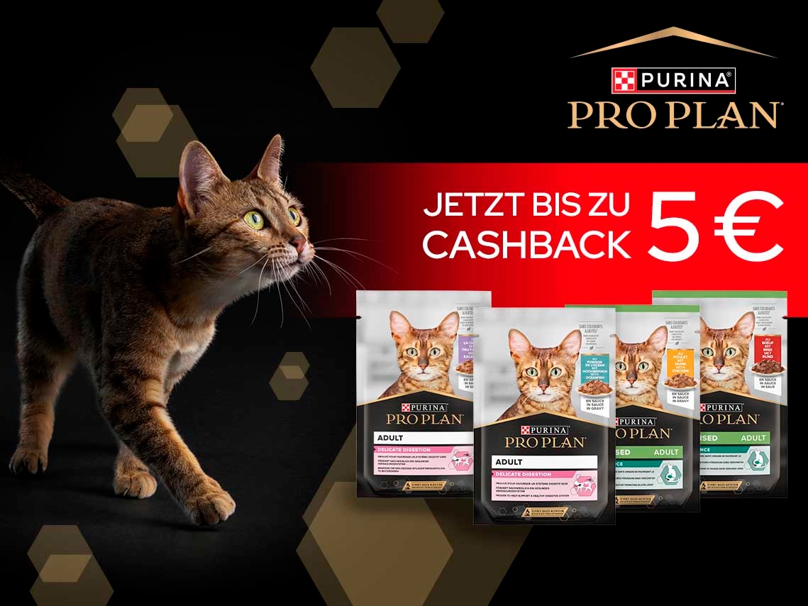 Jetzt PRO PLAN Nassnahrung probieren und bis zu 5€ zurück erhalten!