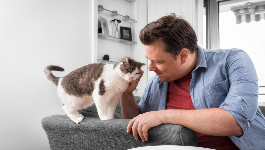 Ein Mann streichelt das Gesicht seiner Katze, während diese auf der Armlehne eines Sofas steht