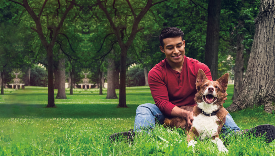 Mann sitzt im Gras mit Bäumen, sein Hund liegt vor ihm