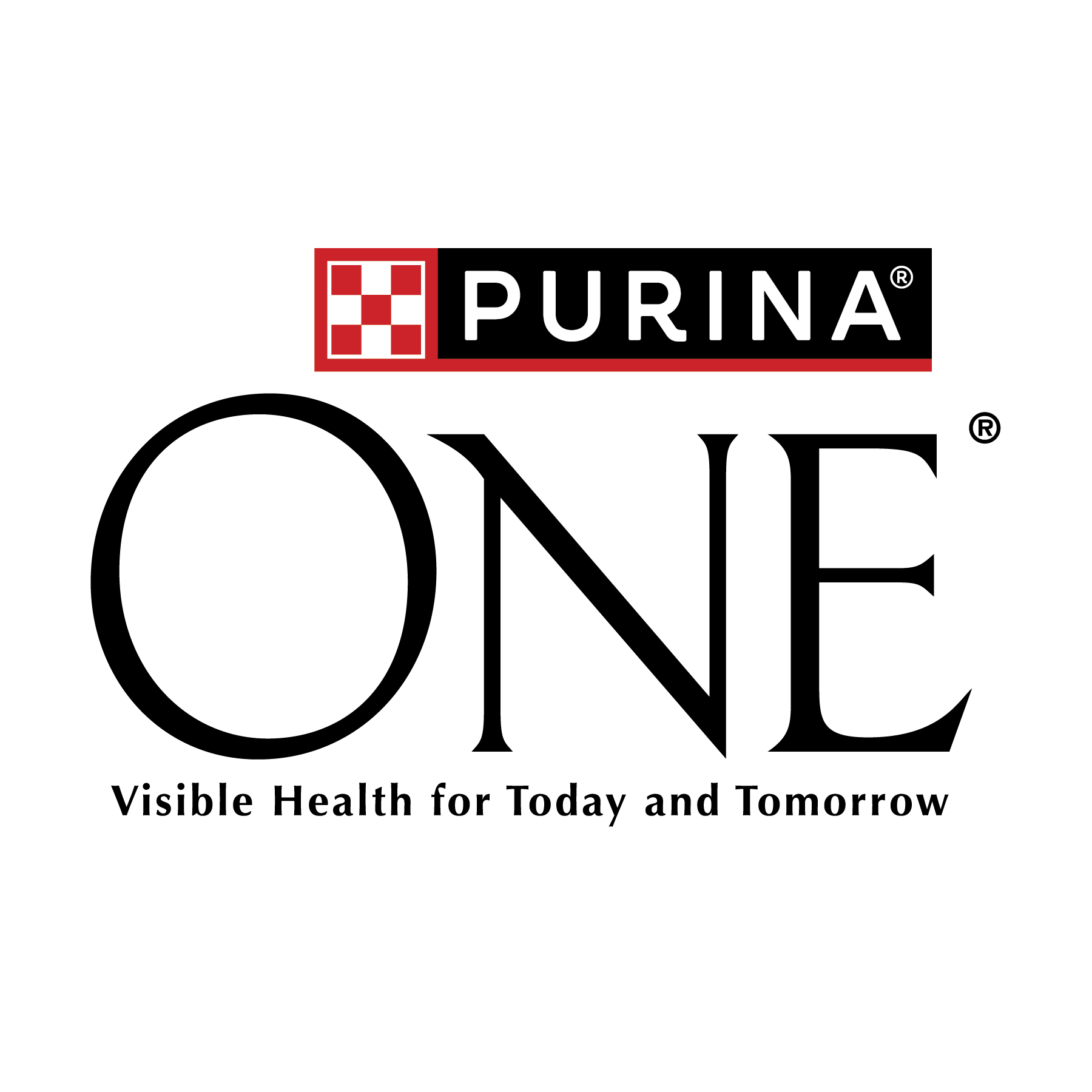 PURINA ONE Dog