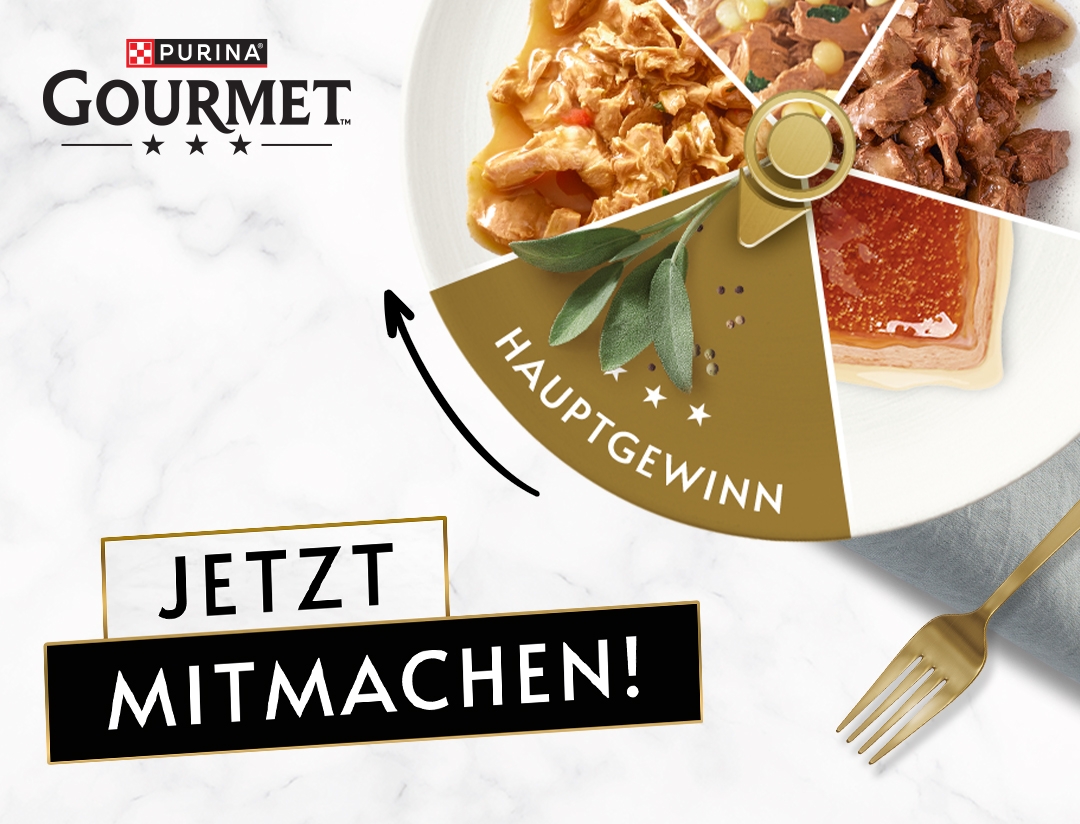 Bring Genuss in jeden Tag mit GOURMET | PURINA GOURMET