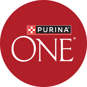 PURINA ONE Dog