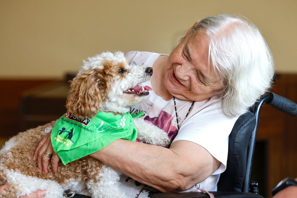 Tiere Bauen Brücken e.V.