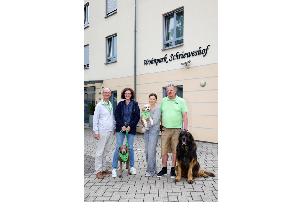 Tiere Bauen Brücken e.V.