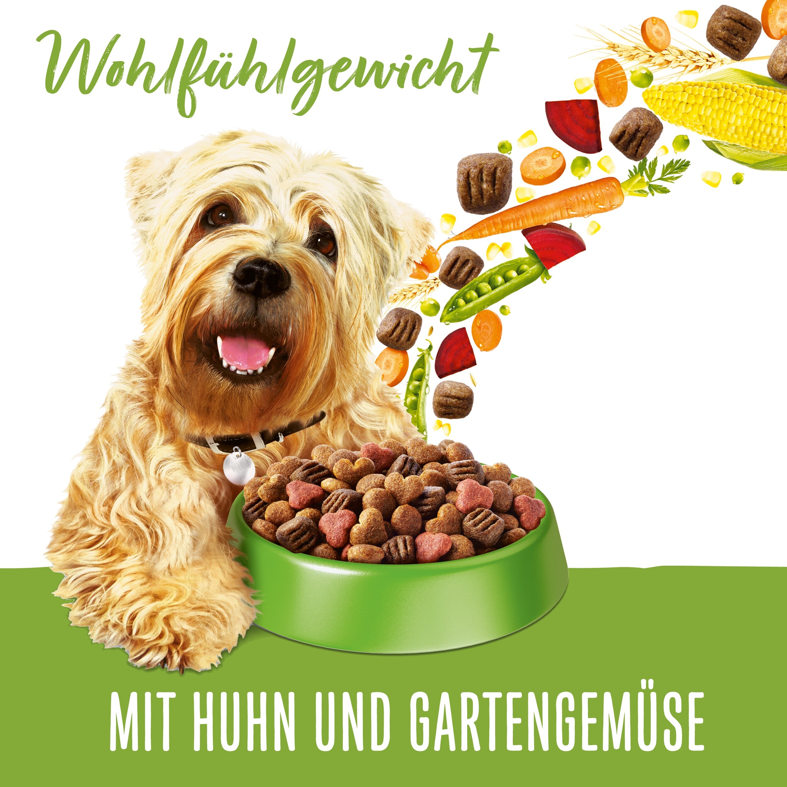 Wohlfhlgewicht mit Huhn und Gartengemse | PURINA BENEFUL