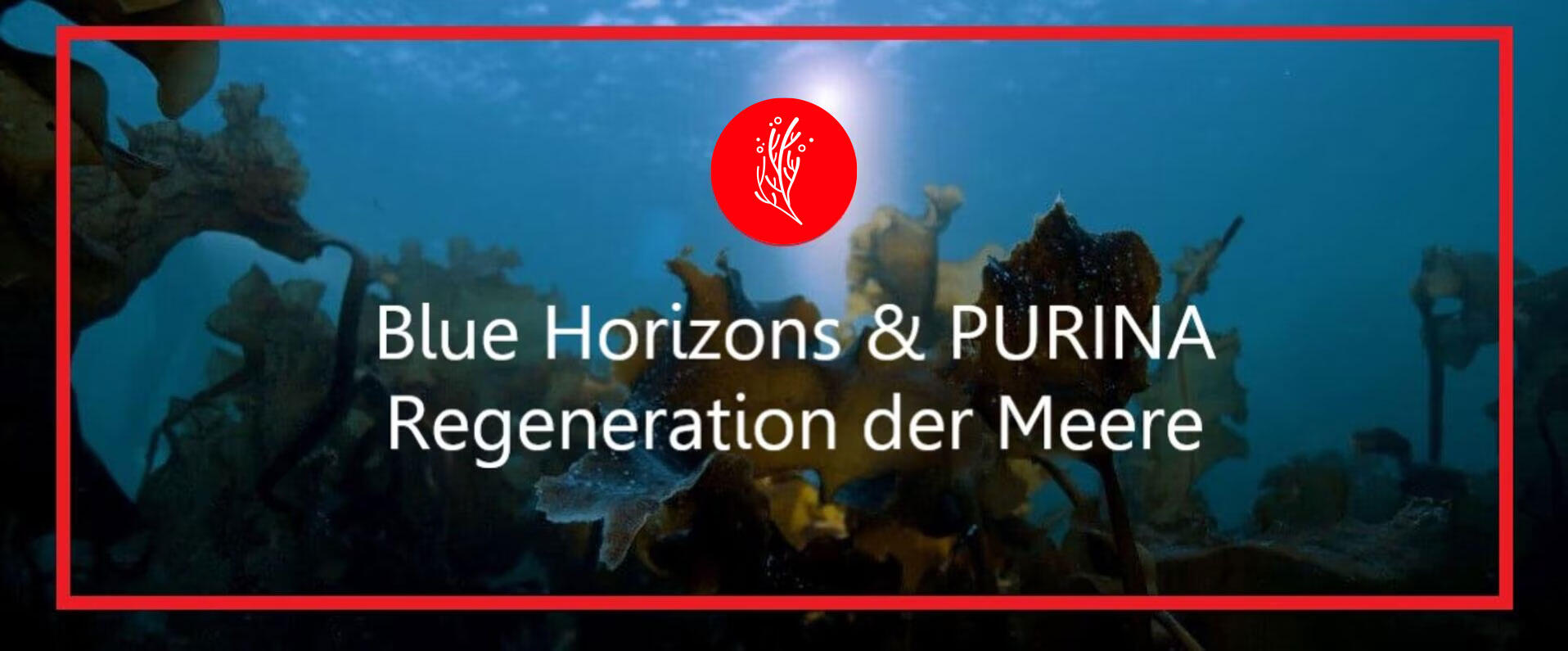 Blue Horizons & PURINA - Regeneration von Meereslebensräumem