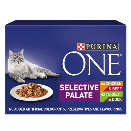 PURINA ONE® Mini Fillets Selective Palate Wet Cat Food