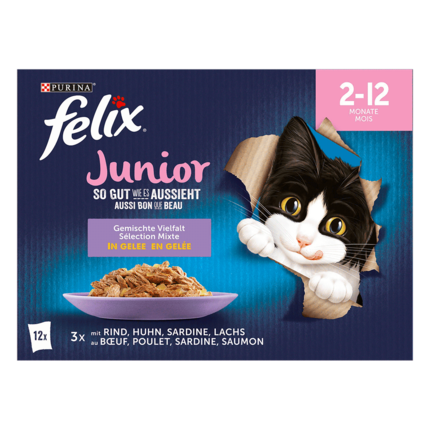 FELIX So gut wie es aussieht Junior Gemischte Vielfalt Vorderansicht