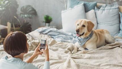 Frau fotografiert Hund