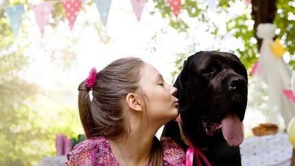 Hund feiert Geburtstag mit Frauchen