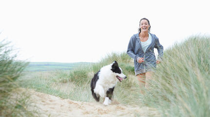  Hund am Strand mit Besitzer