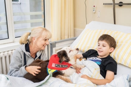 Purina-/Kinderschutzengel-Hund besucht Jungen an Krankenbett