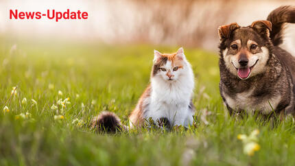Neue EU-Regeln stärken den Tierschutz – ein wichtiger Schritt für verantwortungsvolle Tierhaltung