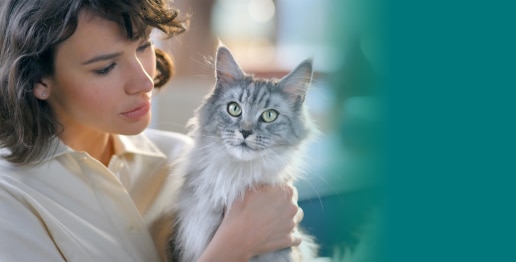 Purina One