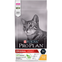 pro plan purina junior