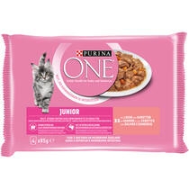 Purina ONE® Junior mit Lachs und Karotten