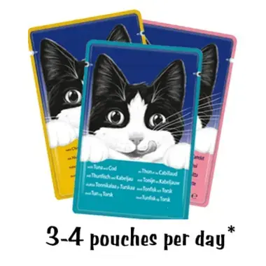 FELIX® Gravy Lover Countryside Selection Wet Cat Food