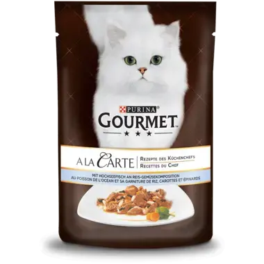 GOURMET™ A la Carte mit Hochseefisch an Reis-Gemüsekomposition Vorderansicht