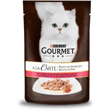 GOURMET™ A la Carte mit Forelle an feiner Gemüseauswahl Vorderansicht
