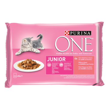 Purina ONE® Junior mit Lachs und Karotten Vorderansicht