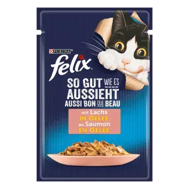 FELIX® So gut wie es aussieht mit Lachs Vorderansicht