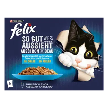 FELIX So gut wie es aussieht Geschmacksvielfalt aus dem Wasser Vorderansicht