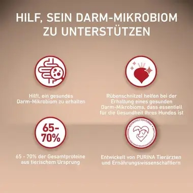 PURINA ONE MINI/SMALL Sensitive mit Lachs und Reis