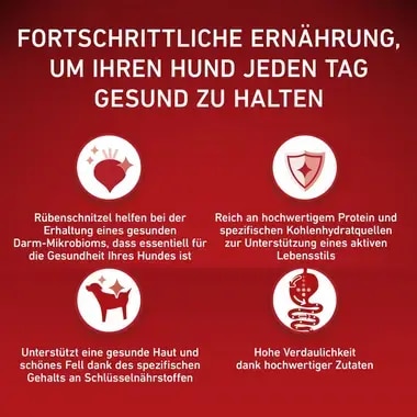 PURINA ONE MINI/SMALL Active reich an Huhn mit Reis