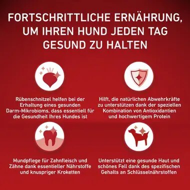 PURINA ONE MINI/SMALL Adult reich an Rind mit Reis