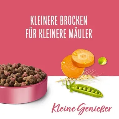 BENEFUL® Kleine Genießer mit Rind und Gartengemüse