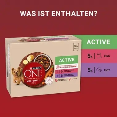 PURINA ONE MINI/SMALL Active mit Rind, Kartoffeln und Karotten in Sauce