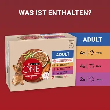 PURINA ONE MINI/SMALL Adult mit Huhn, Karotten und grünen Bohnen in Sauce