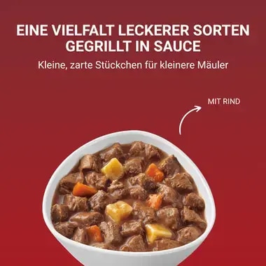 PURINA ONE MINI/SMALL Active mit Rind, Kartoffeln und Karotten in Sauce