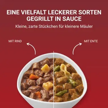 PURINA ONE MINI/SMALL Active mit Rind, Kartoffeln und Karotten in Sauce