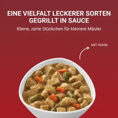 PURINA ONE MINI/SMALL Adult mit Huhn, Karotten und grünen Bohnen in Sauce