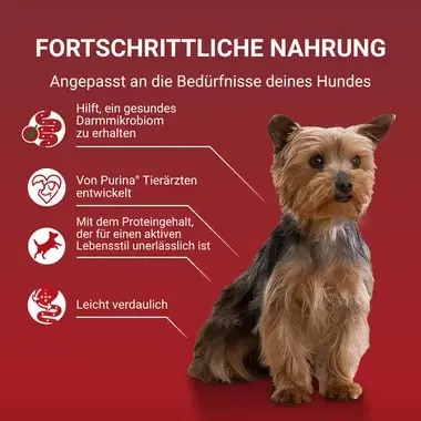 PURINA ONE MINI/SMALL Active mit Rind, Kartoffeln und Karotten in Sauce