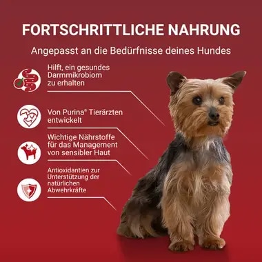 PURINA ONE MINI/SMALL Sensitive mit Lachs, Reis und Karotten in Sauce