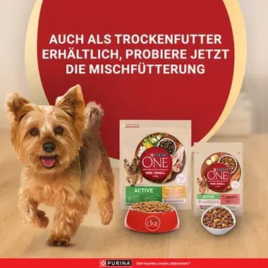 PURINA ONE MINI/SMALL Active mit Rind, Kartoffeln und Karotten in Sauce