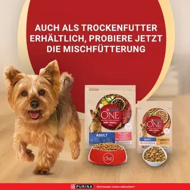 PURINA ONE MINI/SMALL Adult mit Huhn, Karotten und grünen Bohnen in Sauce