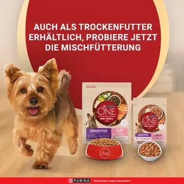 PURINA ONE MINI/SMALL Sensitive mit Lachs, Reis und Karotten in Sauce