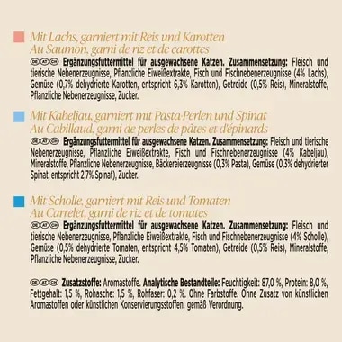 GOURMET™ SOUP ROYALE mit Lachs, Kabeljau oder Scholle, garniert mit Gemüse, Pasta oder Reis