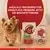 PURINA ONE MINI/SMALL Active mit Rind, Kartoffeln und Karotten in Sauce
