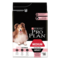 PRO PLAN® MEDIUM ADULT für sensible Haut mit OPTIDERMA reich an Lachs