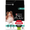 PRO PLAN® MEDIUM ADULT für sensible Verdauung mit OPTIDIGEST reich an Lamm