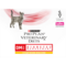 PRO PLAN VETERINARY DIETS Feline DM Diabetes Management Complete Huhn Vorderansicht