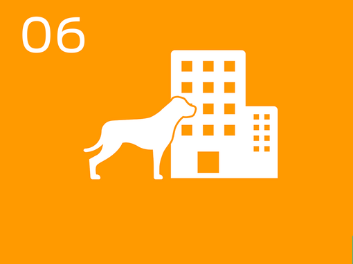 06 dog at office building infographic