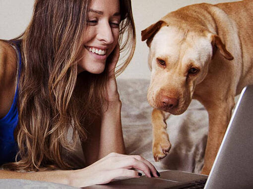 Frau und Hund am Laptop